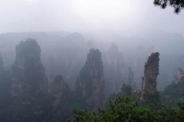 张家界必玩的十大景点排名榜（张家界堪称鬼斧神工的6个景点）(1)