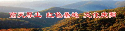 ​革命故事大家讲丨王世泰将军与合水的不解情缘