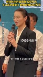 华坪县获100万善款,宋佳:从小三到成功人士的华丽转身