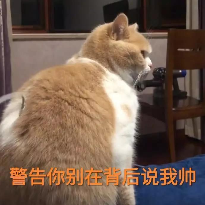 蜜桃猫咪表情包:你说什么就是什么,反正我听不懂人话