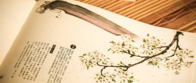 可圈可点的意思是啥呀 可点可圈什么意思