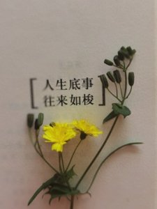 从零到一,打造一个精彩的人生