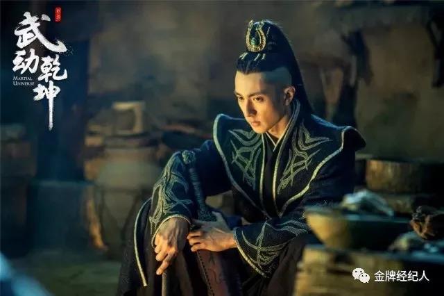 吴尊的个人资料(吴尊从偶像到反派)(11)