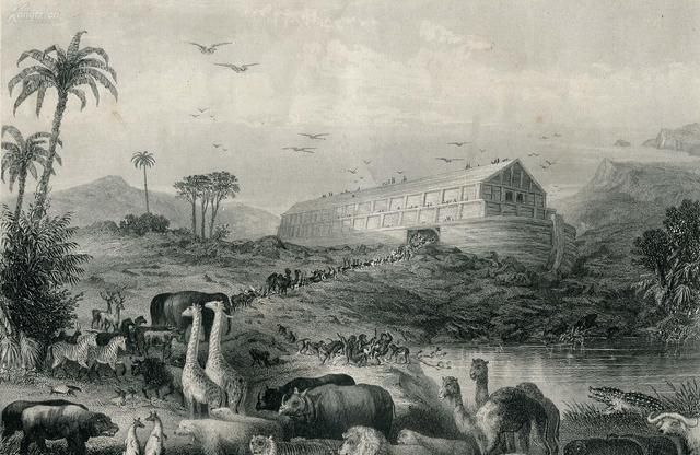 诺亚方舟真还是假,诺亚方舟存在过的事实图2