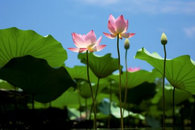 冷战中老公爱你的表现