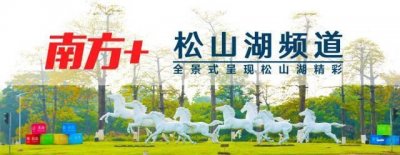 年薪最高15万元,松山湖管委会社会招聘岗位发布