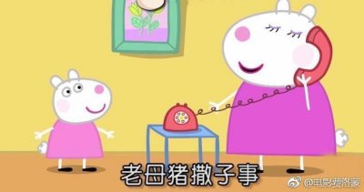 小猪佩奇的方言版合集