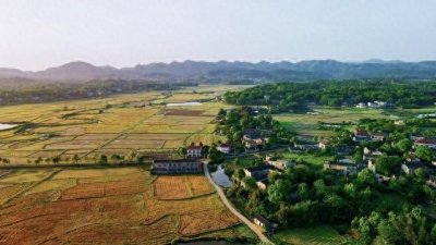 为你揭秘村支书一年的正常收入到底有多少!