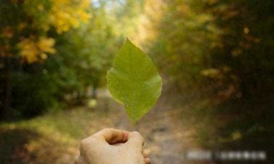 ​姐姐的老公，我应该怎么称呼他？