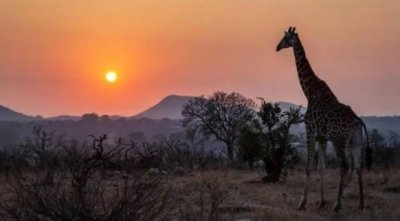 ​全球十大观星胜地排名（星空观赏圣地有哪些）