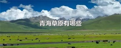 ​青海草原有哪些