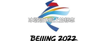 ​冰墩墩衣服上的标志