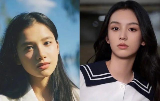 王珞丹和葛优撞脸(明星撞脸严重的对比图)