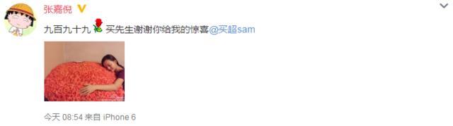 张嘉倪杜淳接受采访 又见一帘幽梦播出十年(9)