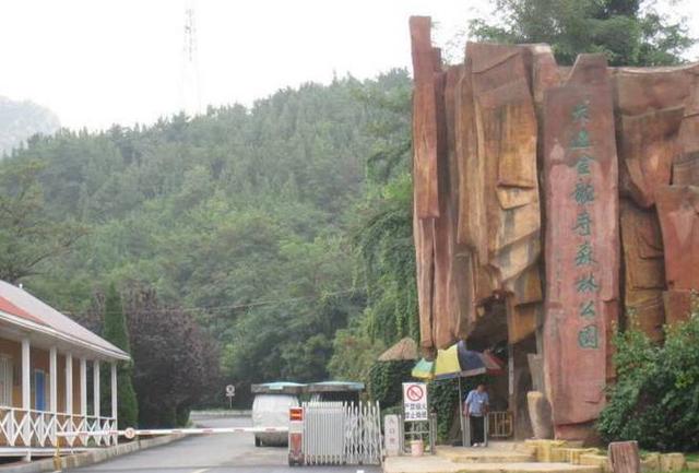 荧光海滩的游玩(美翻了的荧光海滩就在咱家门口)(9)