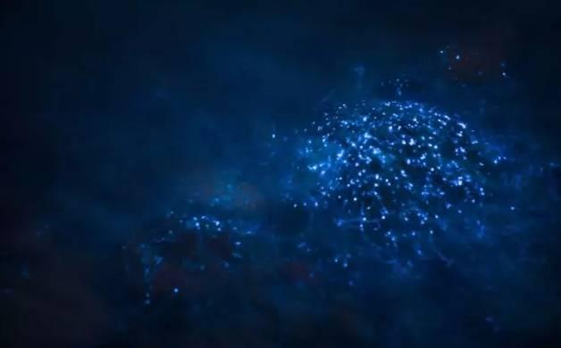 荧光海滩的游玩(美翻了的荧光海滩就在咱家门口)(6)