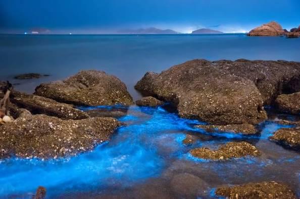 荧光海滩的游玩(美翻了的荧光海滩就在咱家门口)(12)