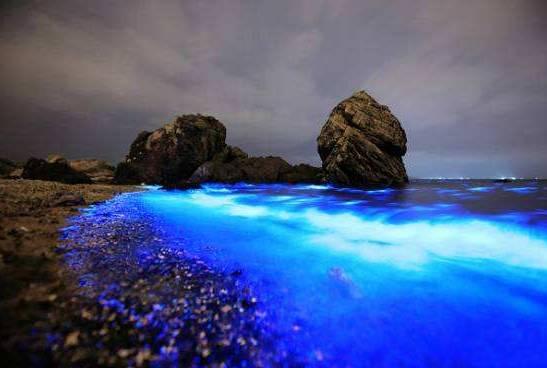 荧光海滩的游玩(美翻了的荧光海滩就在咱家门口)(3)