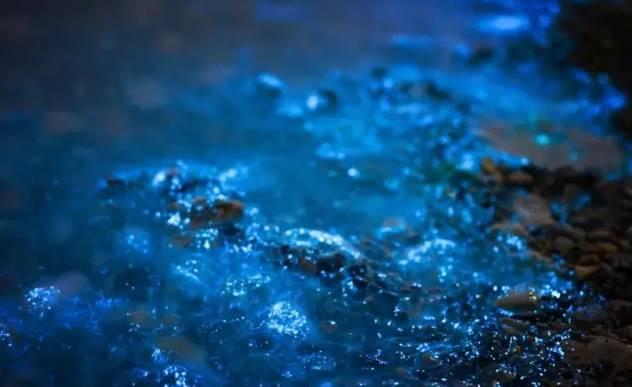 荧光海滩的游玩(美翻了的荧光海滩就在咱家门口)(5)