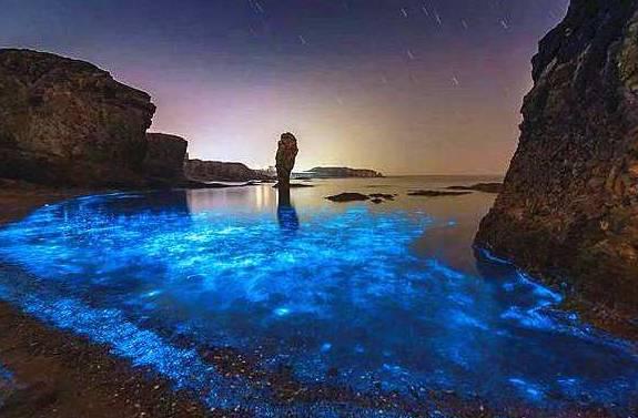 荧光海滩的游玩(美翻了的荧光海滩就在咱家门口)(4)