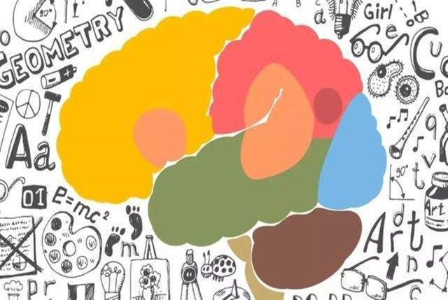 右脑开发的表现及训练方法（我劝年轻人要多开发右脑）(5)