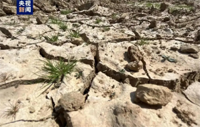 ​鄱阳湖水干了：水位跌破8米，今年已有多头江豚死亡，什么原因？