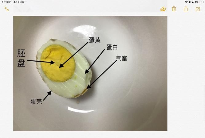 怎么知道煮的鸡蛋有没有熟