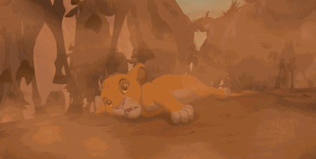 亲自见证动物大迁徙(说起非洲动物大迁徙)(7)