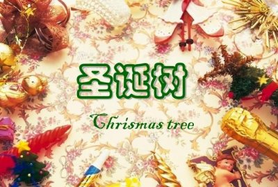 ​圣诞树的来历，圣诞的来历故事？