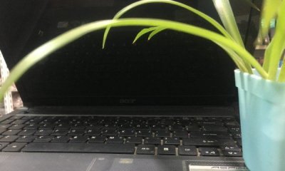 ​电脑旁放仙人掌能防辐射,电脑旁边放仙人掌真的可以防辐射吗