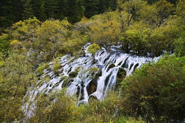 九寨沟游玩必去的景点介绍（九寨沟15个必去景点）(8)