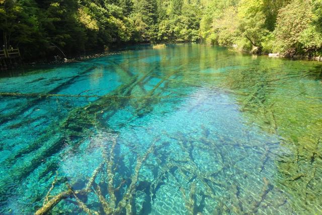 九寨沟游玩必去的景点介绍（九寨沟15个必去景点）(19)