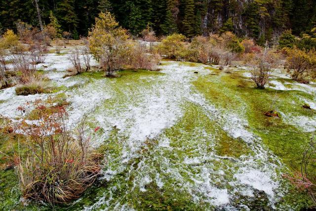 九寨沟游玩必去的景点介绍（九寨沟15个必去景点）(12)