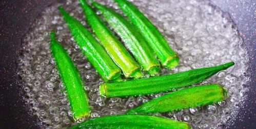 秋葵籽榨油是晒干好还是湿的好呢