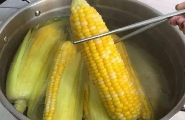 大量玉米怎么储存方法,买了好多玉米怎么处理图2