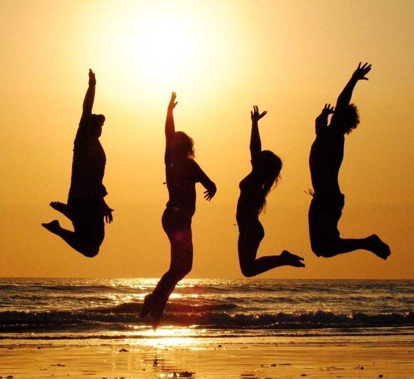 志同道合形容哪个生肖动物（志同道合打一个生肖最佳答案）(1)_