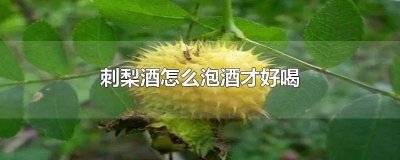 ​刺梨酒如何泡制方法窍门 刺梨酒制作方法