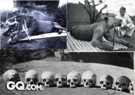 史上最凶残的十大杀人猛兽