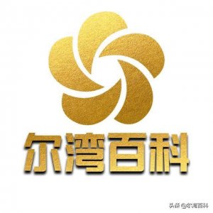 ​尔湾百科简介