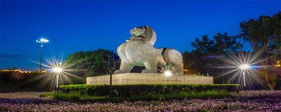 ​貔貅有什么来历和传说