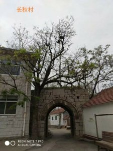 ​满门忠烈--青州抗日英豪冯登瀛！