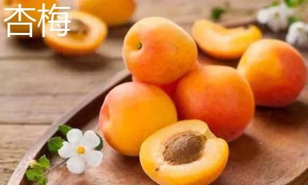 北戴河杏梅是不是黄桃,黄桃里面含有哪些维生素图4