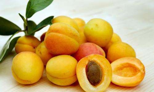 北戴河杏梅是不是黄桃,黄桃里面含有哪些维生素图6