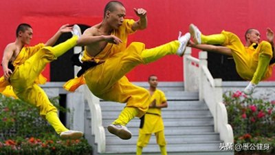 ​少林武术：中国非物质文化遗产的瑰宝