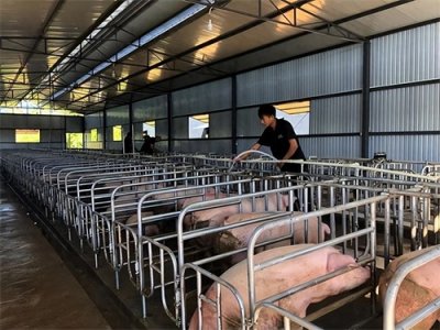 ​温州美女富婆堕落史：她的奢靡荒唐，只有你想不到，没有她做不到