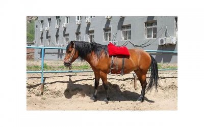 ​三种板块边界及其类型