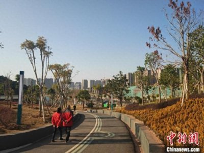 ​近百名媒体人齐聚广东侨乡信宜见证新变化