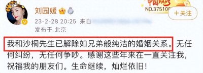 ​央视主持沙桐离婚，二婚妻子嘲讽13年无性生活，前妻怒斥别扯淡