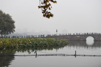 ​马拉松——2019杭州马拉松赛鸣枪开跑