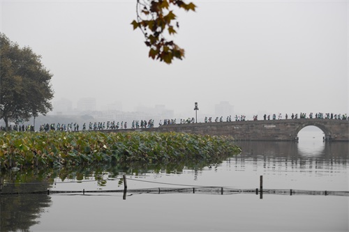 马拉松——2019杭州马拉松赛鸣枪开跑